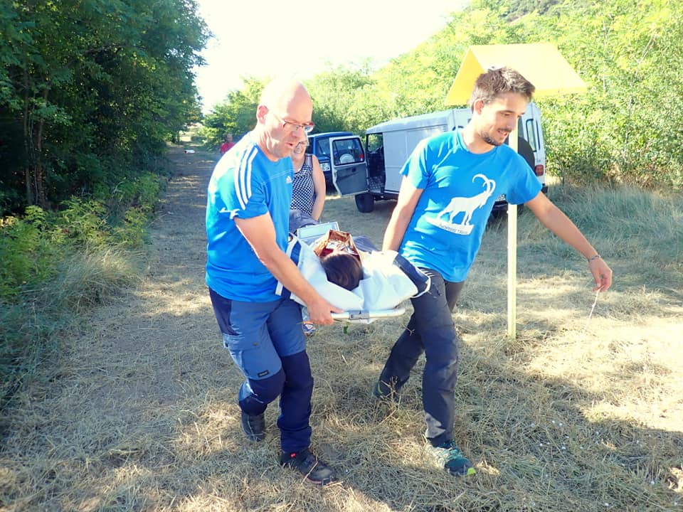 41496155_728732294142788_11707131661123584_n